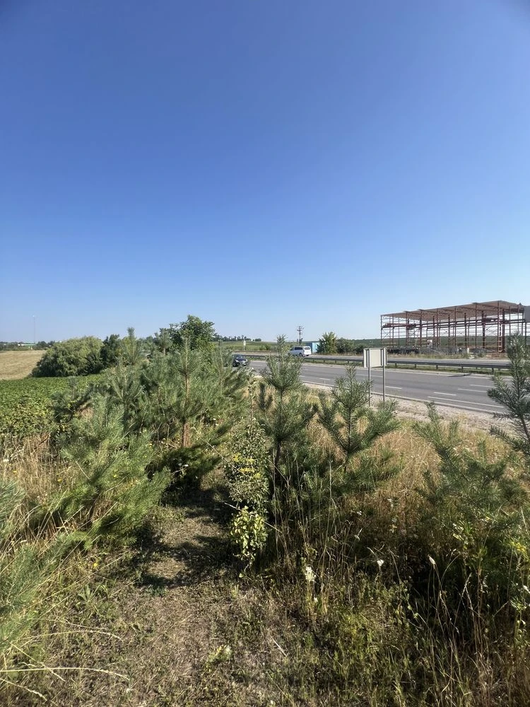 Продаж земельної ділянки комерційного призначення