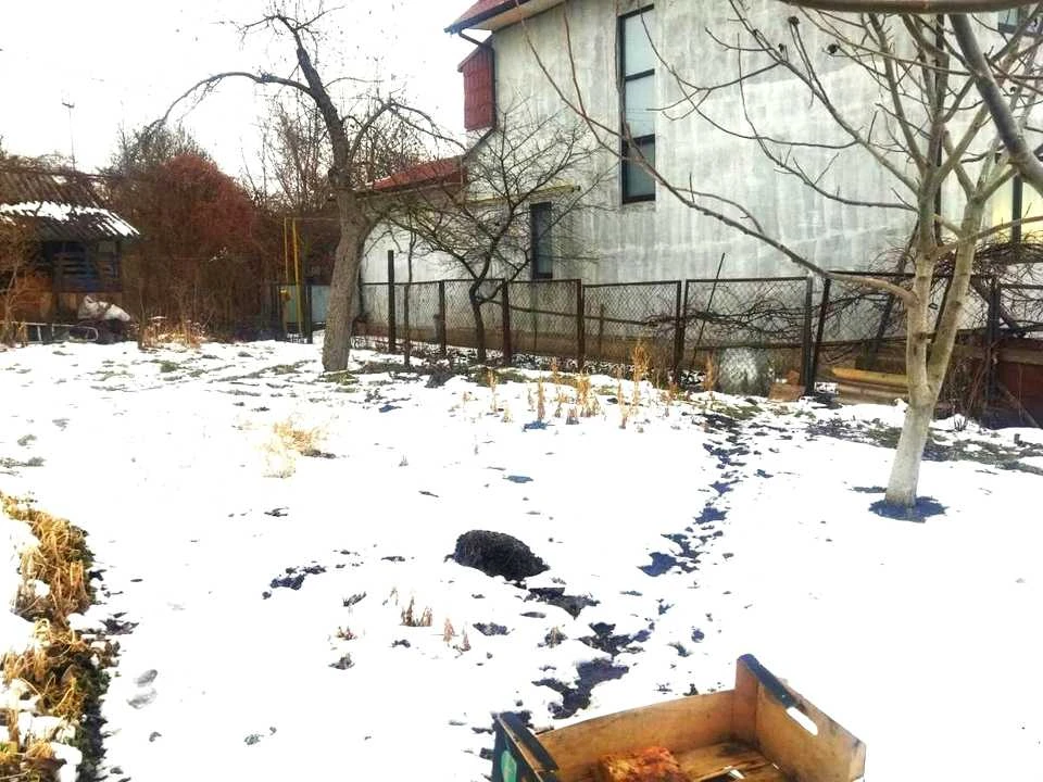 Ділянка. Чернівці, Смотрицька вул.