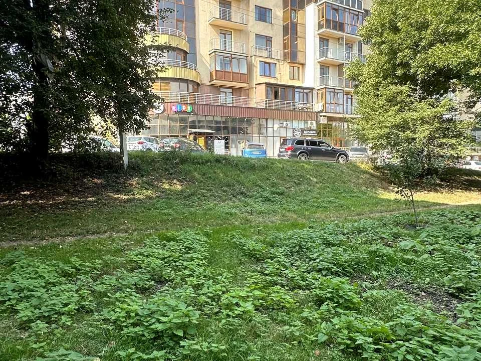 Ділянка. Чернівці, Рози Ауслендер вул.