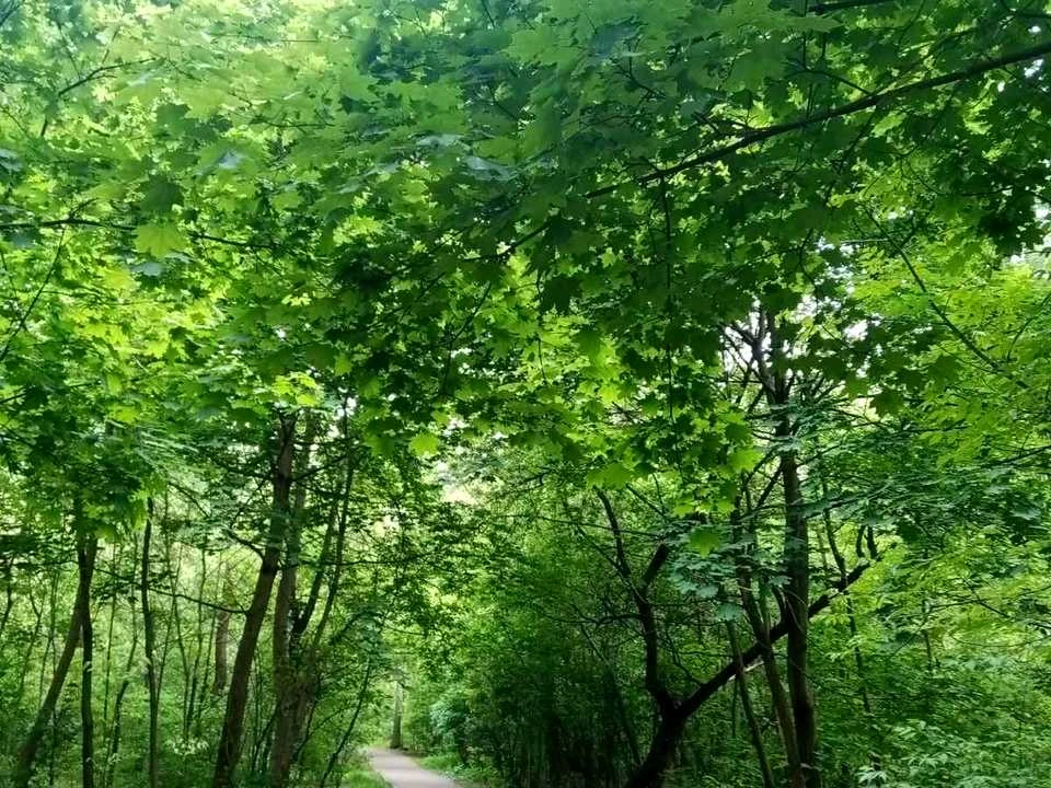 Квартира. Київ, Святошинський пров.