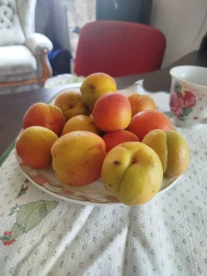 Продам ДАЧУ в місті ‼️ Будинок для життя, з меблями‼️Централ