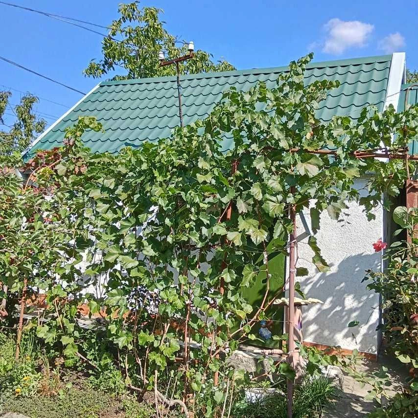 Продам дачу СВТ «Харчовик» (Широка Балка, ост. «Міда»)