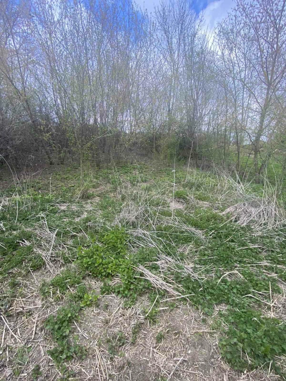 Продаж ділянки с. Пеньківці