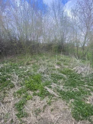 Продаж ділянки с. Пеньківці