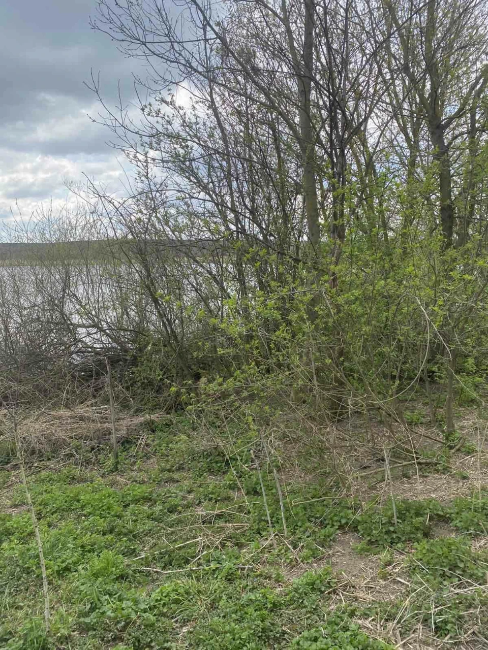 Продаж ділянки с. Пеньківці