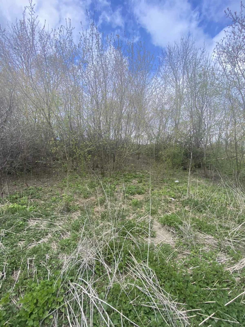 Продаж ділянки с. Пеньківці
