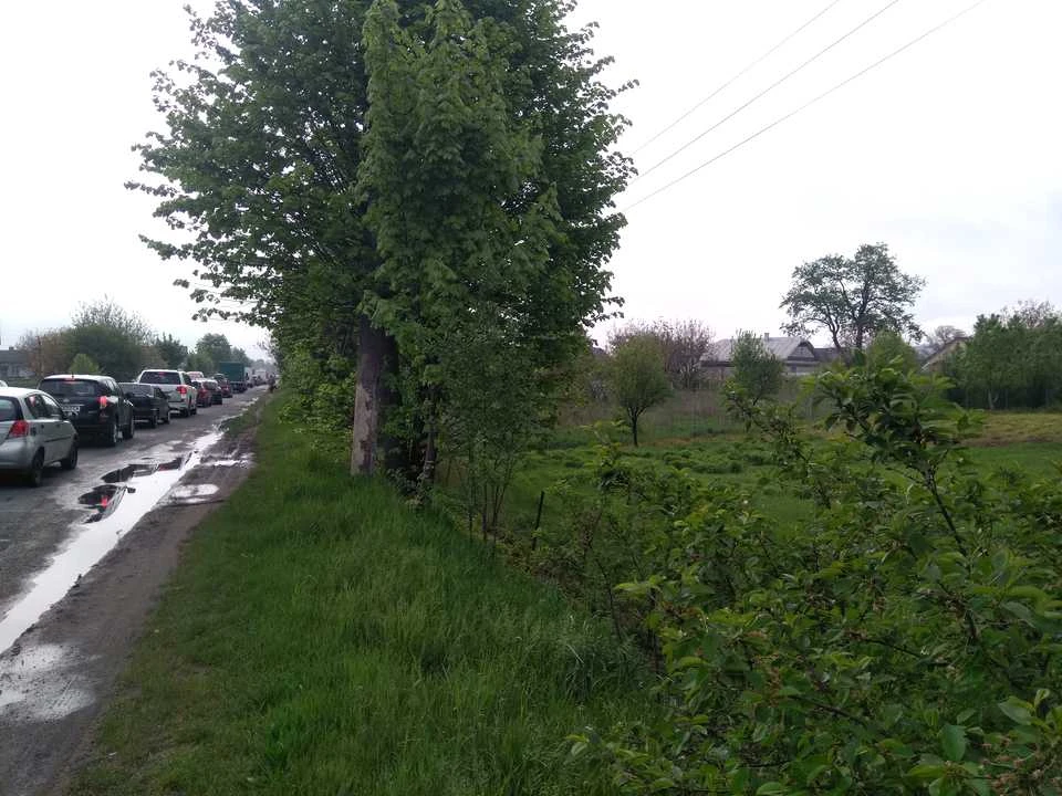 Будинок. Чернівці
