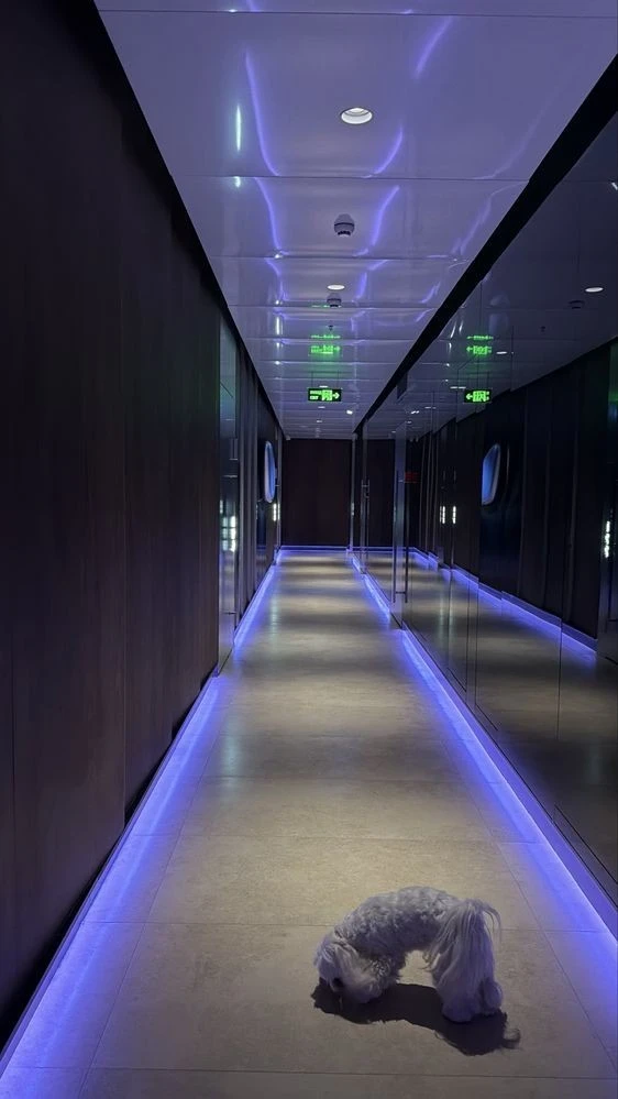 Оренда квартири в TARYAN TOWERS