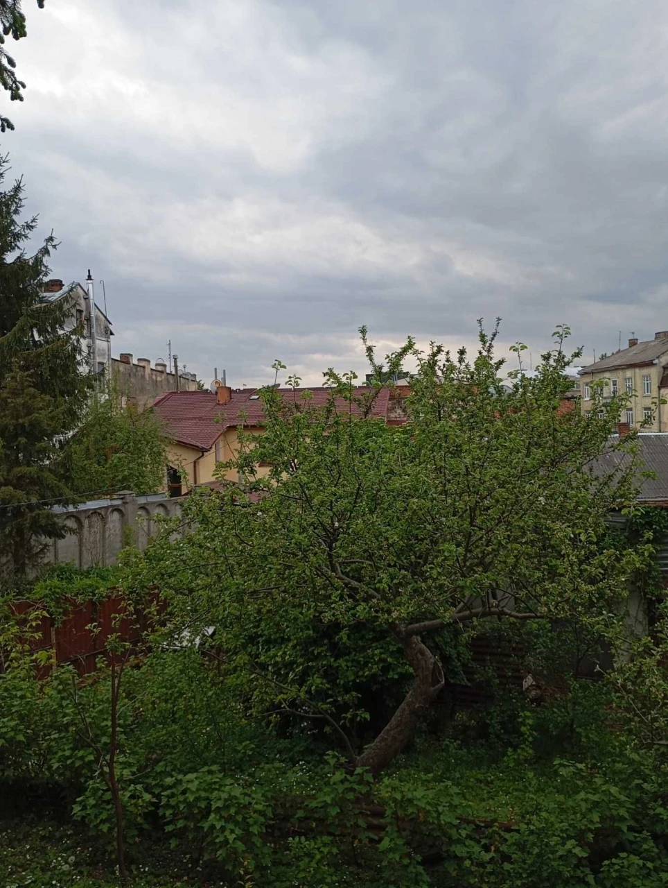 без комісії продаж квартири в центрі Львова