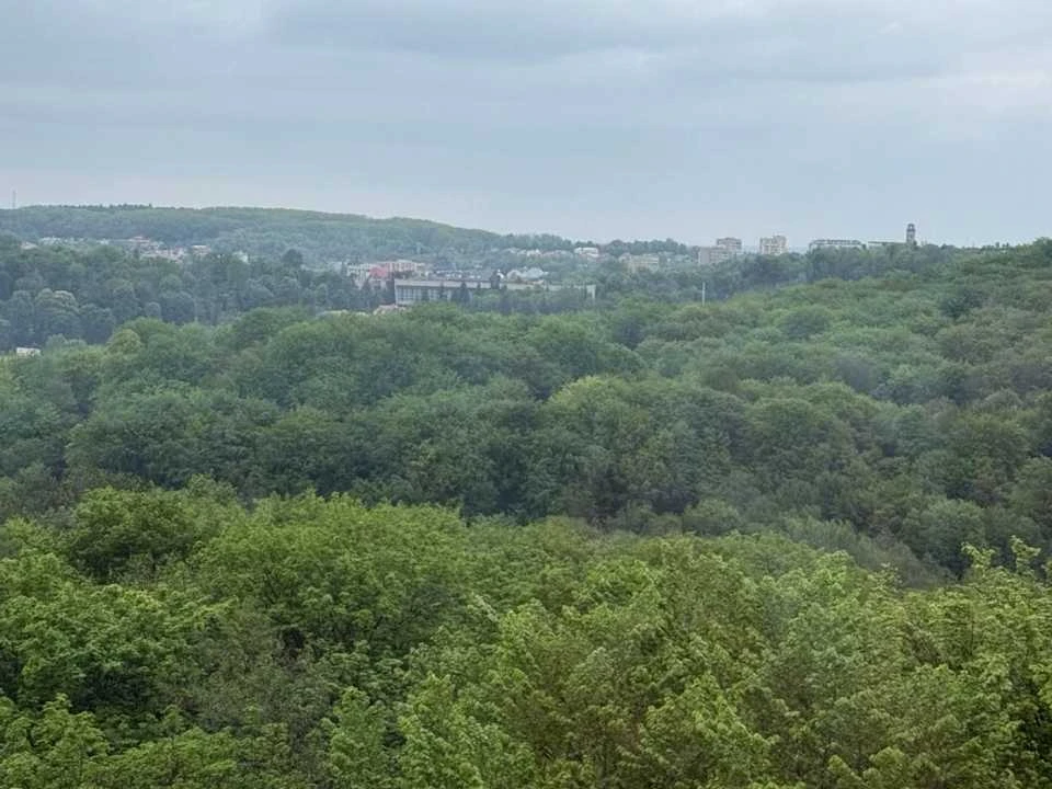Квартира. Львів, Жасминова вул.