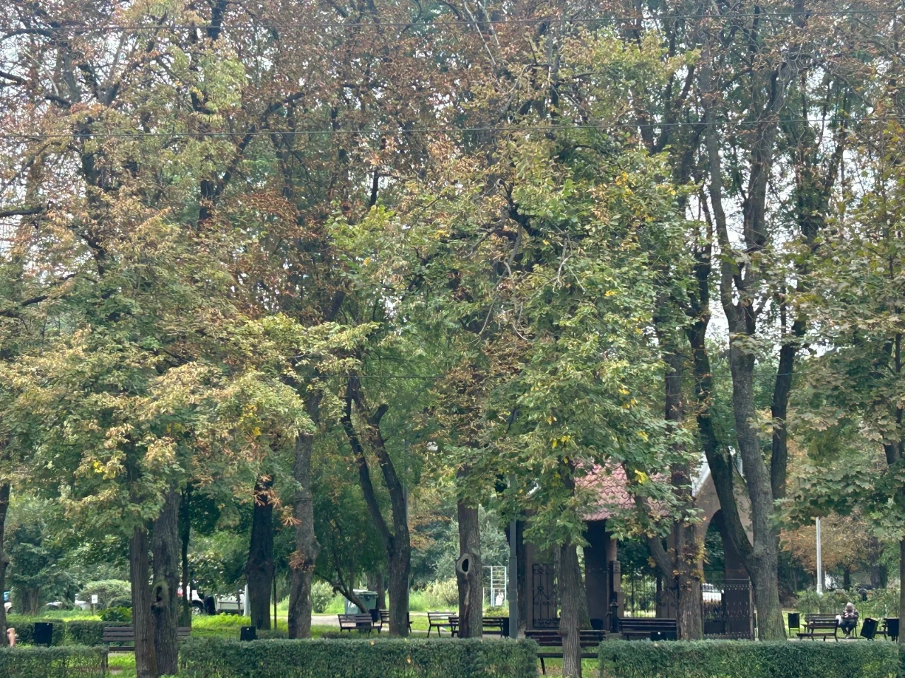 Продаж 30,3 м2 Шевченківський Кирилівська ст Спартак Подільс
