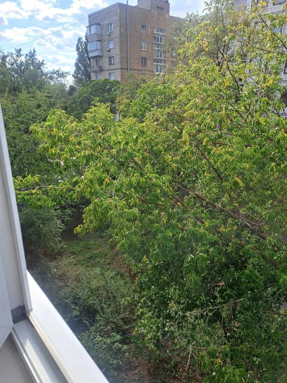 продажа 1ком. кв. 30кв. м. ст. М."Берестейская"пр-т. Бересте