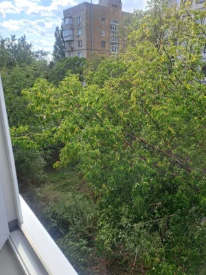 продажа 1ком. кв. 30кв. м. ст. М."Берестейская"пр-т. Бересте