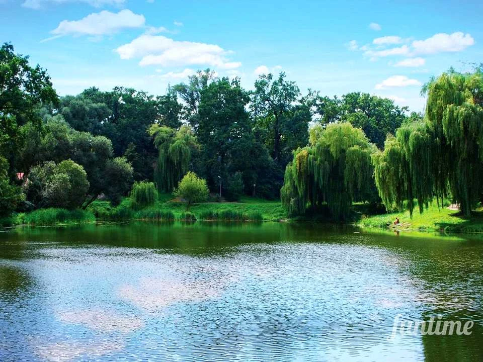 Квартира. Київ, Януша Корчака вул.