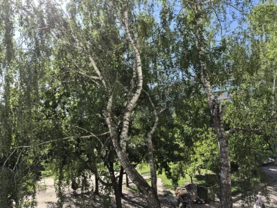 Продам 1к Тулузи 3 , газ ,, м Святошин, Академмістечко, Жито
