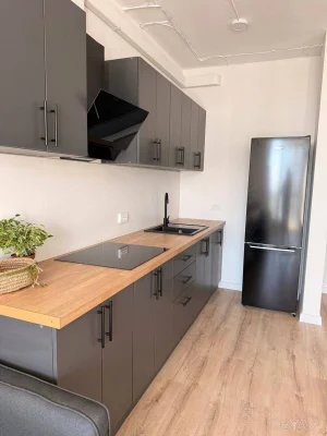 1-комнатная квартира, 48 кв.м