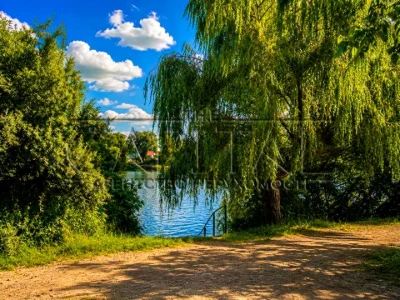 Будинок. Київ, Садова