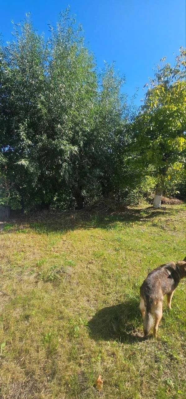 Будинок з виходом на воду Русанівські Сади Лівобережна