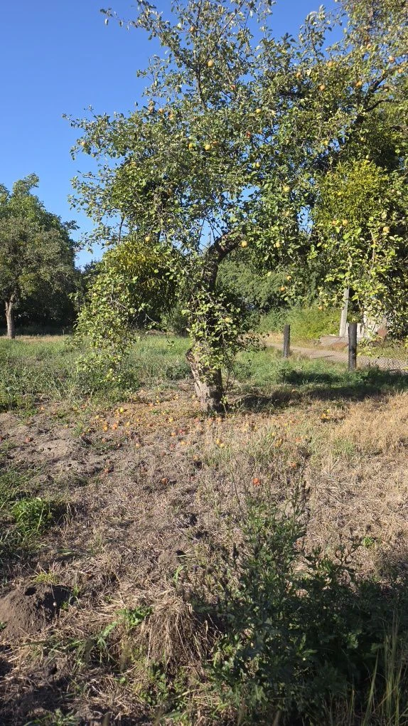 Ділянка 10 сот під будівництво
