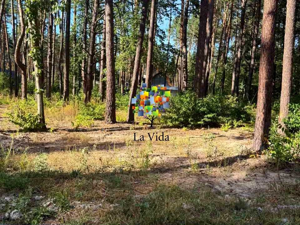 Ділянка. Київ, Лісовий пров.