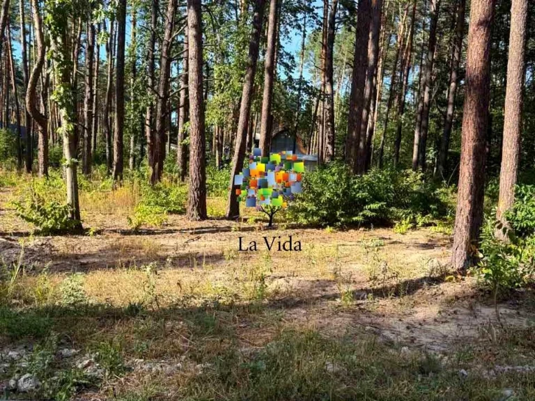 Ділянка. Київ, Лісовий пров.