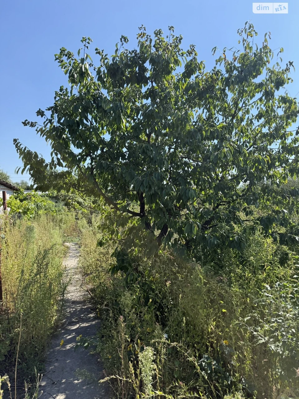Продаж Ділянка під житлову забудову Лівобережний