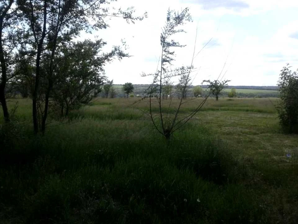 Ділянка. Дніпро