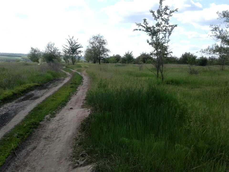 Ділянка. Дніпро