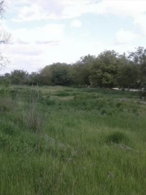 Продаж Земля комерційного призначення Шевченківський