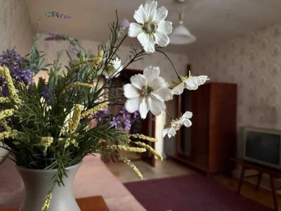 For sale 2-room apartment 51.5 m², Honore de Balzac St.,