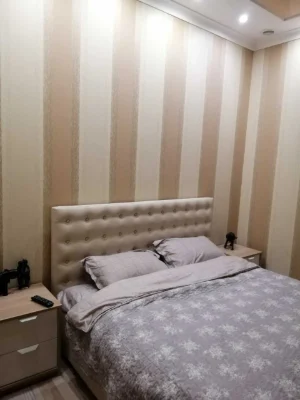 Центр, 2х квартира в новом доме, Привоз, ремонт, мебель.