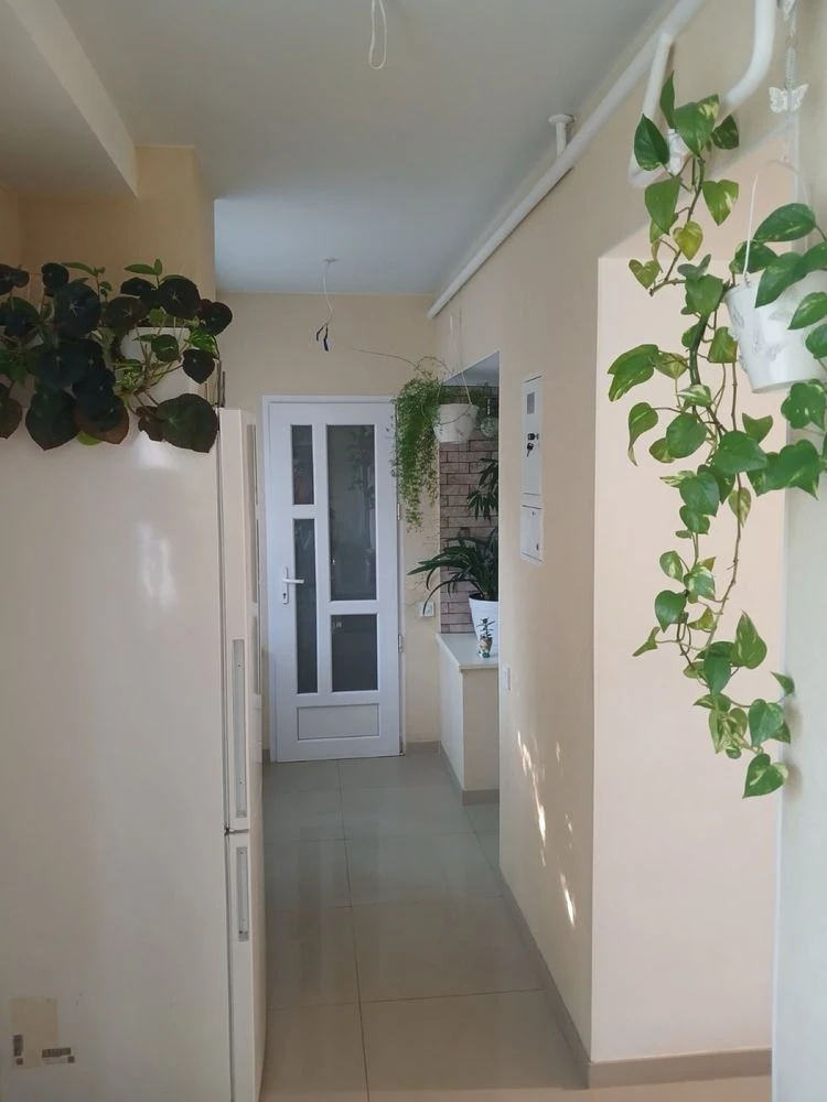 Продам 3 к квартиру на земле ул Прохоровская