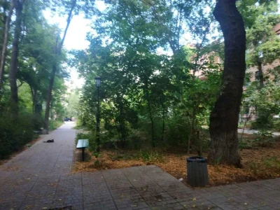 Квартира. Одеса, Артилерійська вул.