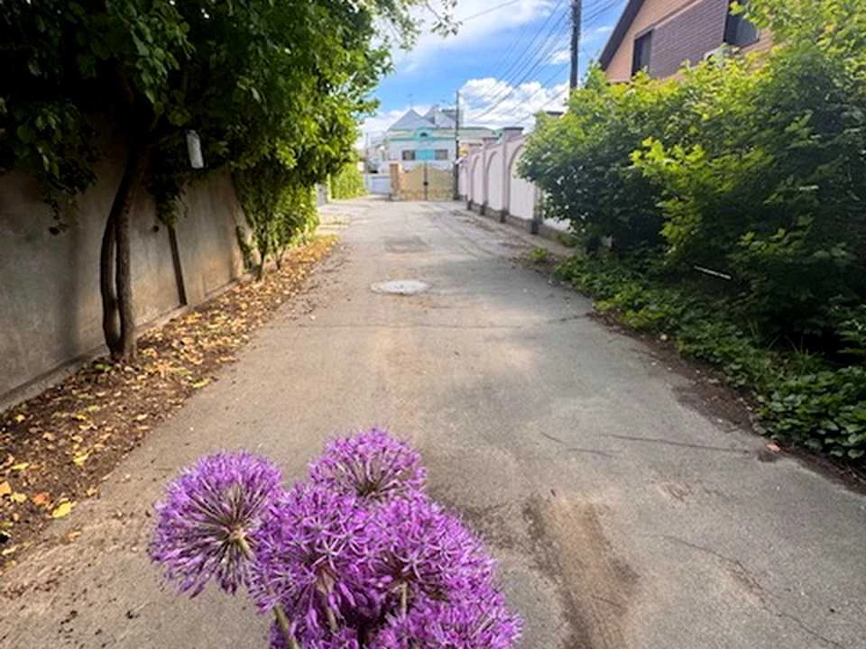 Будинок. Одеса, Купріна вул.