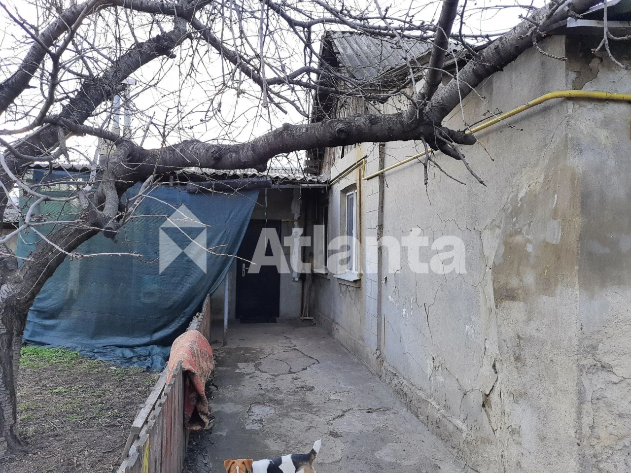 Дом на 3 входа на Слободке Район Агрономической и Киевской т