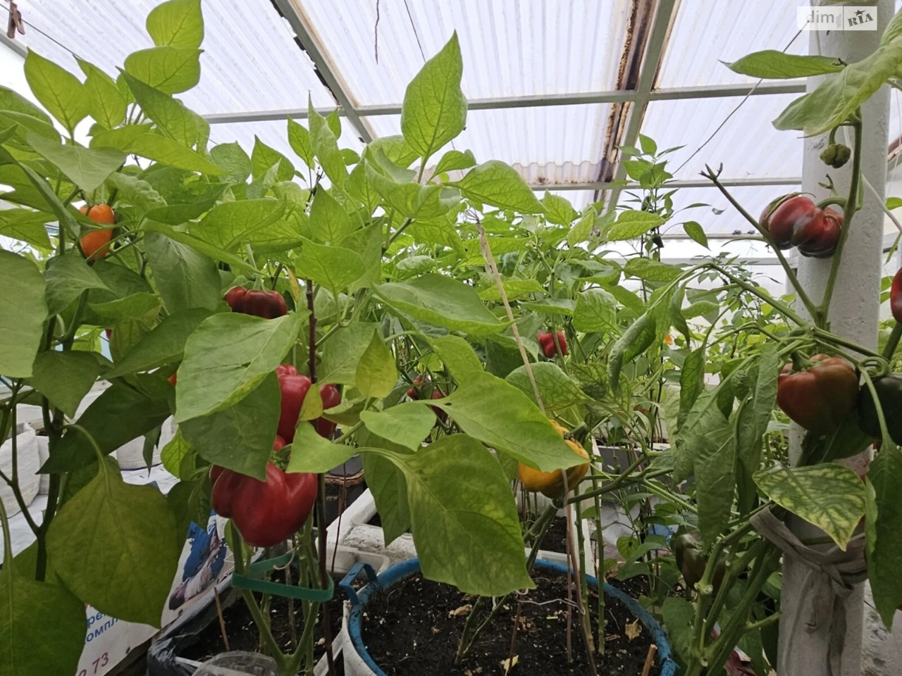 Продаж Частина будинку Центр