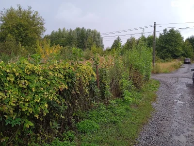 Продаж Ділянка під житлову забудову