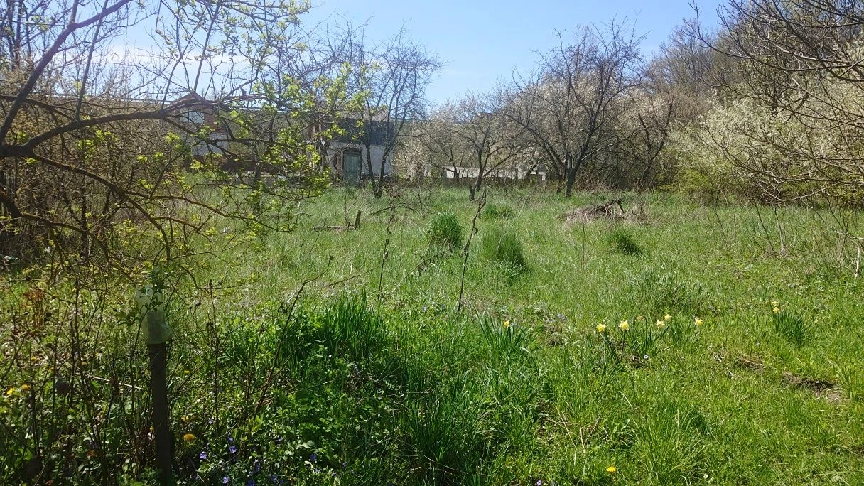 Земельна ділянка 6 соток (Електроніка)