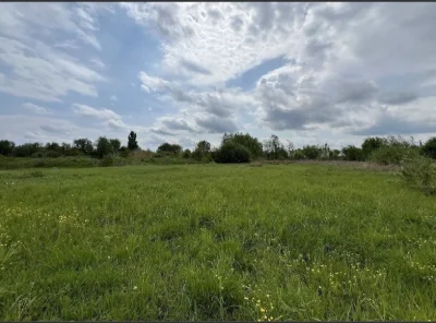 Пай 3 гектари рівний