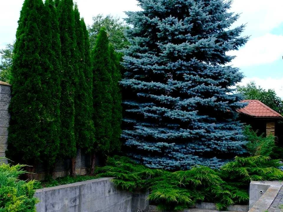 Будинок. Рівне, корнинська