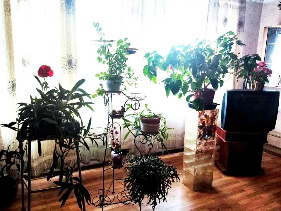 Будинок. Миколаїв, 5-та Слобідська вул.