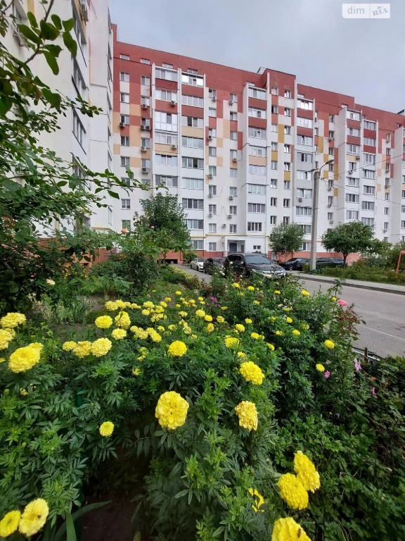 Продаж Квартира Олексїївка