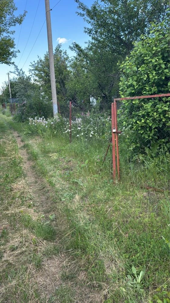 Продам дачу в САДіВНИЧОМУ ТОВАРИНСТВІ „ОргтеХніКА-2» N 141.