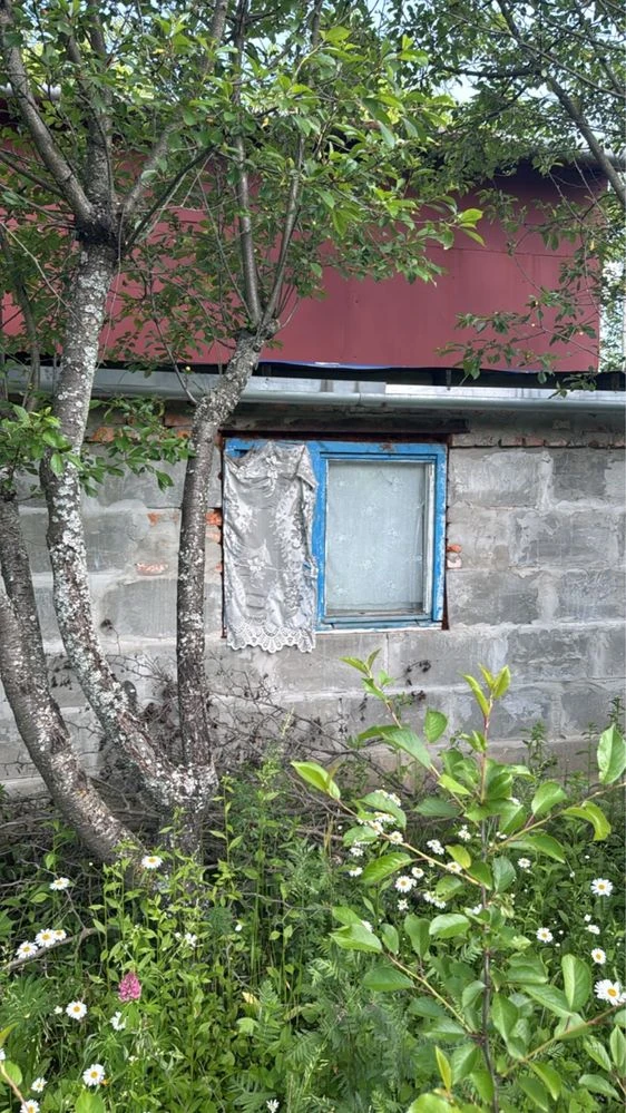 Продам дачу в САДіВНИЧОМУ ТОВАРИНСТВІ „ОргтеХніКА-2» N 141.