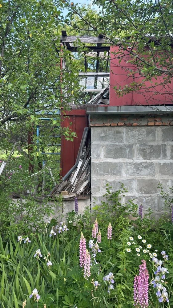 Продам дачу в САДіВНИЧОМУ ТОВАРИНСТВІ „ОргтеХніКА-2» N 141.