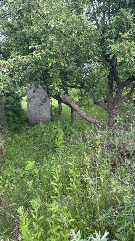 Продам дачу в САДіВНИЧОМУ ТОВАРИНСТВІ „ОргтеХніКА-2» N 141.
