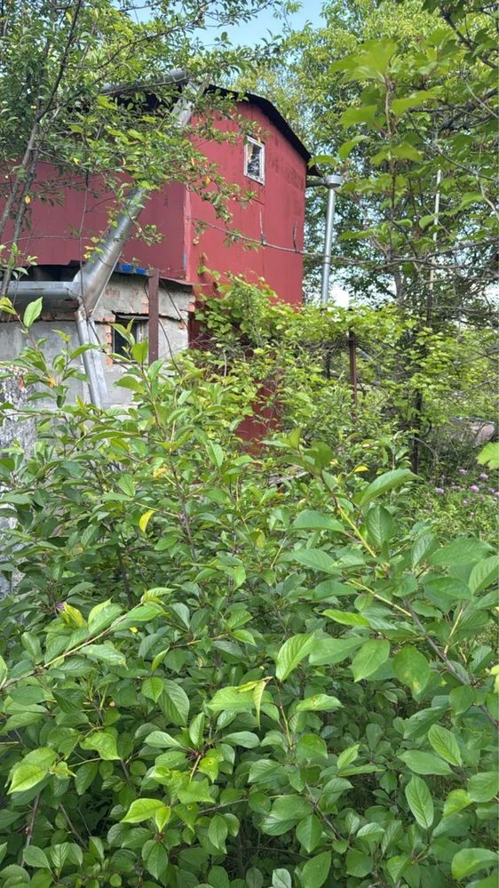 Продам дачу в САДіВНИЧОМУ ТОВАРИНСТВІ „ОргтеХніКА-2» N 141.