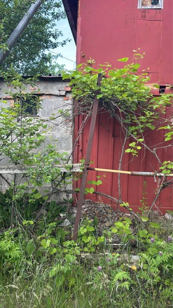 Продам дачу в САДіВНИЧОМУ ТОВАРИНСТВІ „ОргтеХніКА-2» N 141.