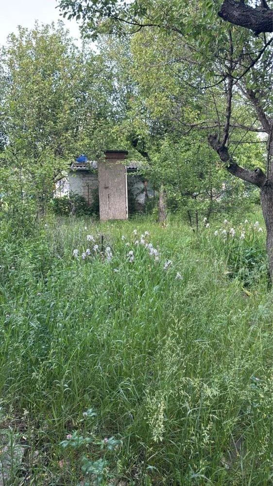 Продам дачу в САДіВНИЧОМУ ТОВАРИНСТВІ „ОргтеХніКА-2» N 141.