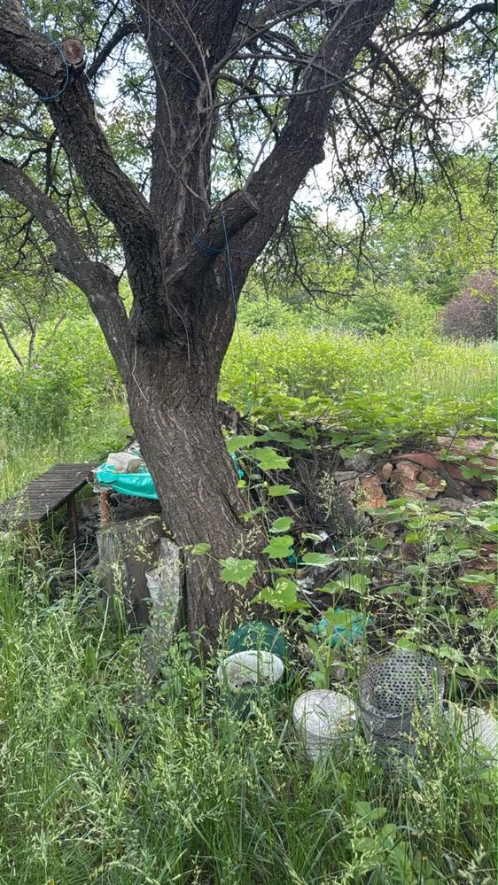 Продам дачу в САДіВНИЧОМУ ТОВАРИНСТВІ „ОргтеХніКА-2» N 141.